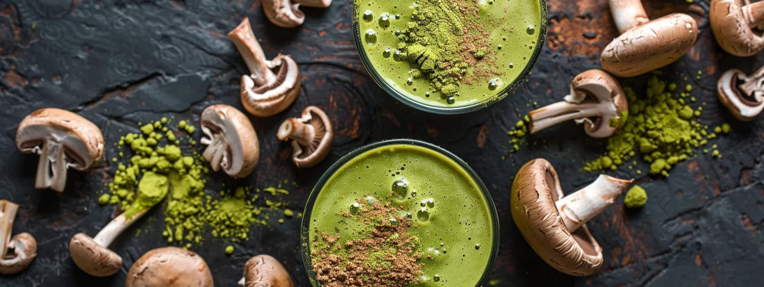 Discover Affordable Alternatives to Premium Mushroom Matcha