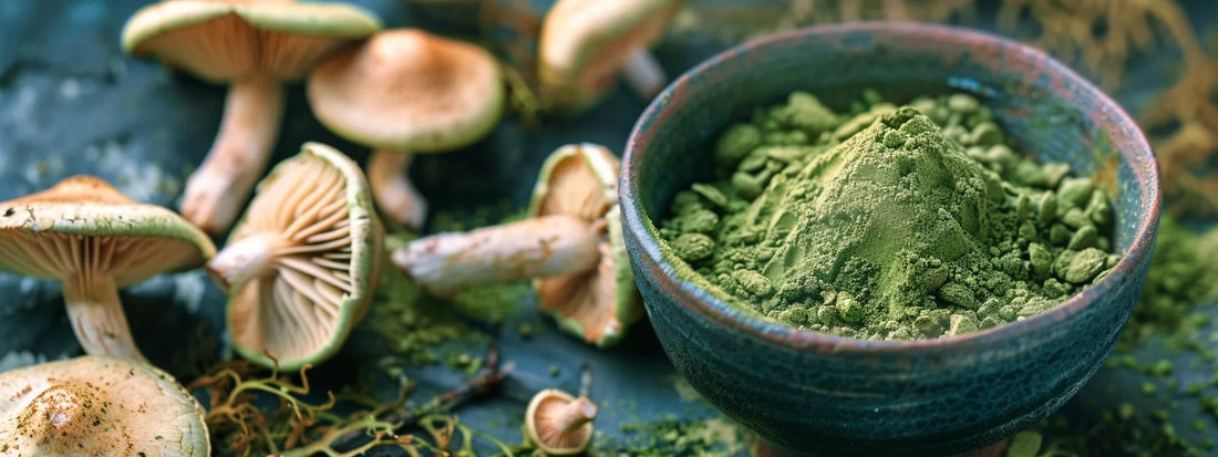 Preserve Freshness: How to Store Your Mushroom Matcha Mix