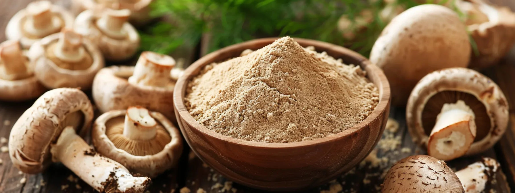 Mushroom Powder: A Secret Weapon Against High Blood Sugar