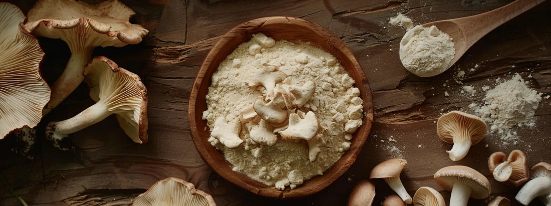 How Mushroom Powder Enhances Digestive Health