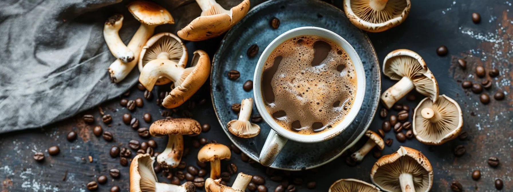 Transform Your Routine With a Mushroom Coffee Trial