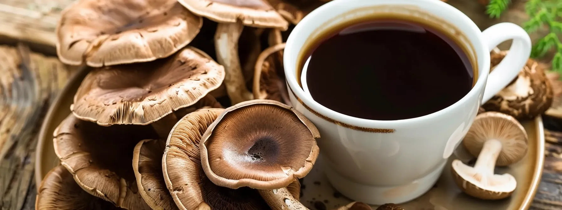 Unlock Weight Loss with Ryze Mushroom Coffee: Here’s How!