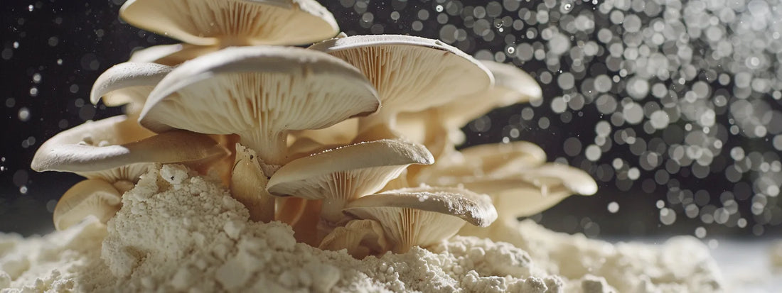 Unlocking Antioxidant Secrets of Mushroom Powder