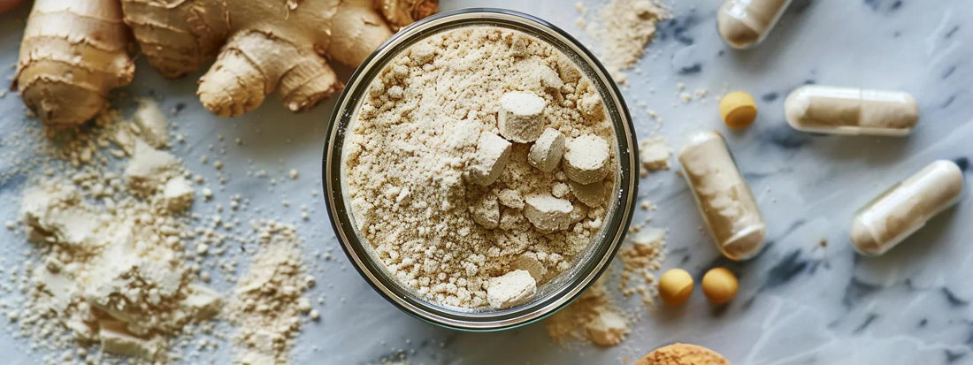 Your Guide to Immune Support Powder Benefits