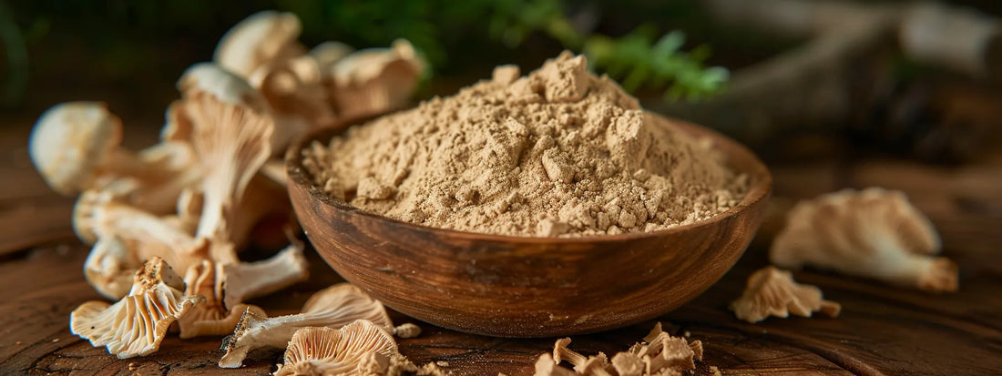 Boost Your Immunity With Mushroom Powder