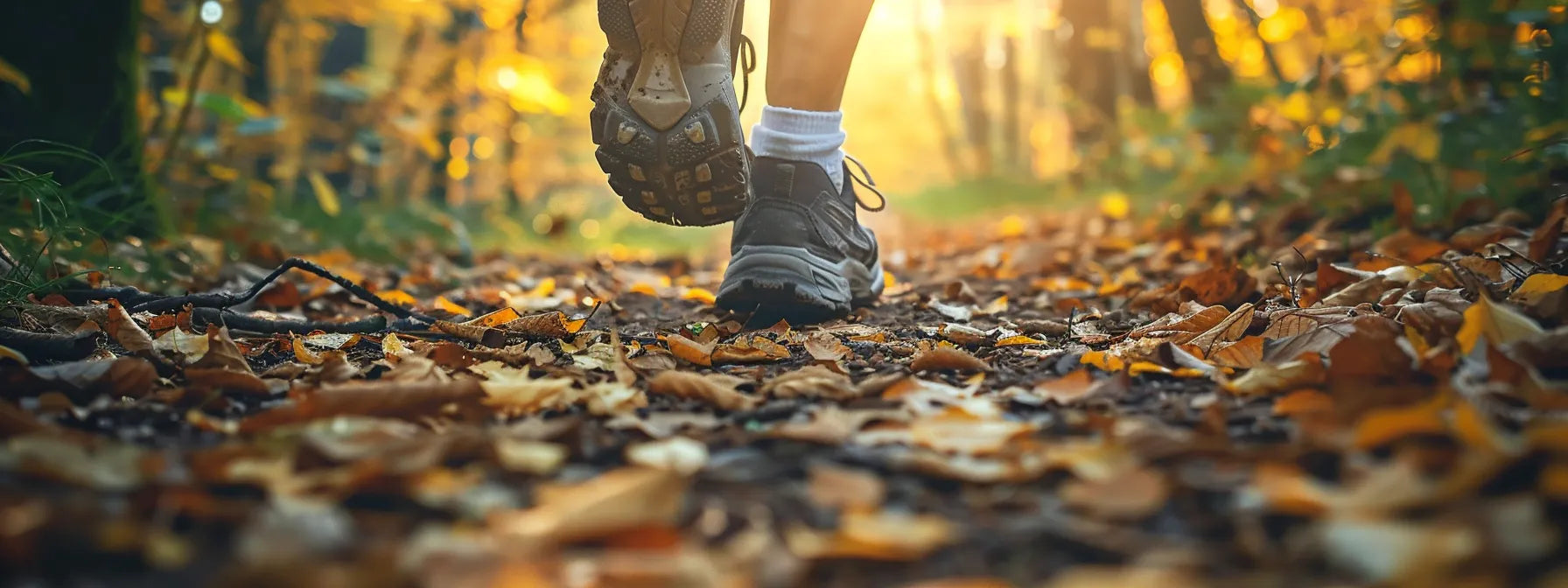 Energizing Green Tea Ginseng Powder for Hiking Hydration