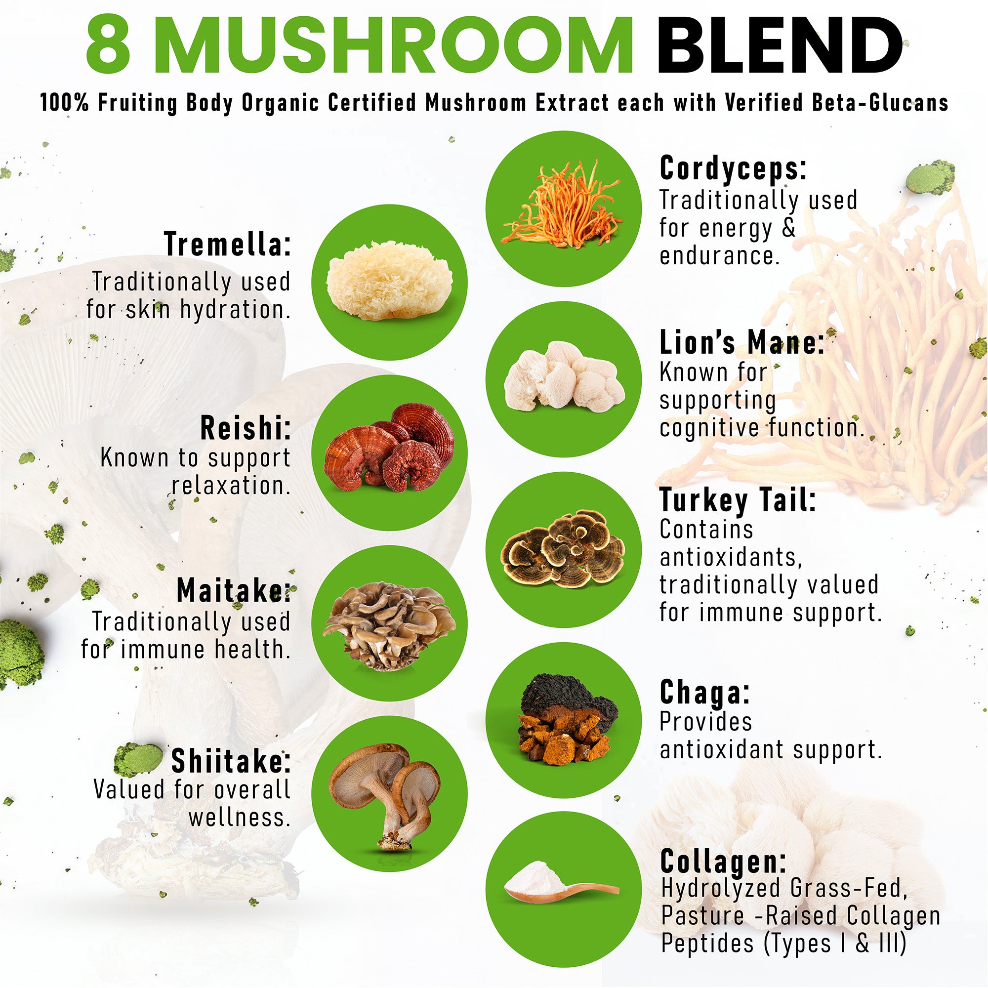 Mushroom Powder Plus™ Matcha 15 Servings